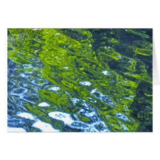 Ga met de stroom mee!