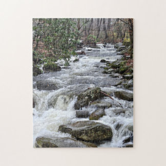 Ga met de stroom mee puzzel, 28 x 35,5 cm, 252 stu legpuzzel