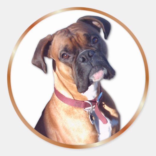 Ga niet weg ronde sticker (Voorkant)