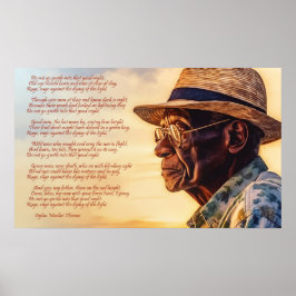 Ga niet zo zachtjes in die avond. poster