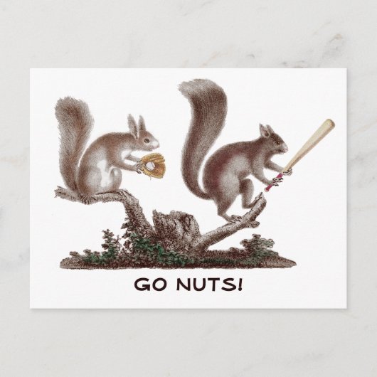 Ga Nuts Rally Squirrel Greetings uit St. Louis! Briefkaart (Voorkant)