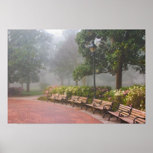 GA Savannah, Azaleas langs baksteenstok en Poster (Voorkant)