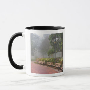 GA Savannah, Azalea's langs bakstenen trottoir en Mok