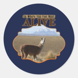 Ga waar je je het meest levendige Llama avonturier Ronde Sticker
