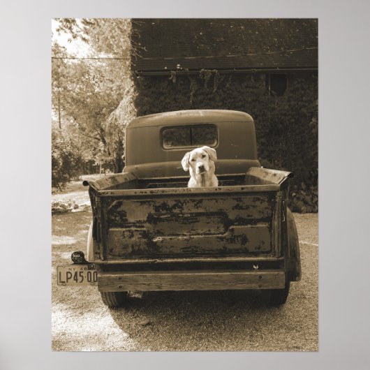 Ga weg uit Dodge - foto van Dog Poster (Voorkant)