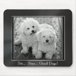 Ga zitten. Blijf... Goede honden! Foto Lijst Mouse Muismat