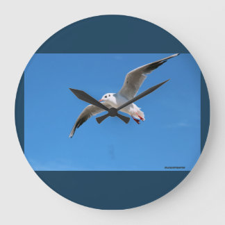 Gabbiano en vol - horloge photographique bleue