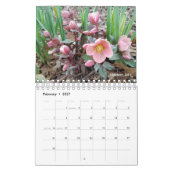 Gabby le calendrier Gardener 2021 (Feb 2027)