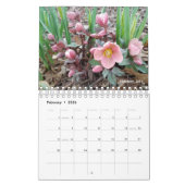 Gabby le calendrier Gardener 2021 (Feb 2026)