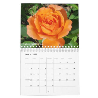 Gabby le calendrier Gardener 2021