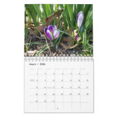 Gabby the Gardener 2021 Calendar Kalender (Mar 2026)