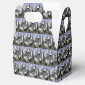 Gable Favor Box Bedankdoosjes (Geopend)