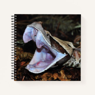 Gabon viper notitieboek