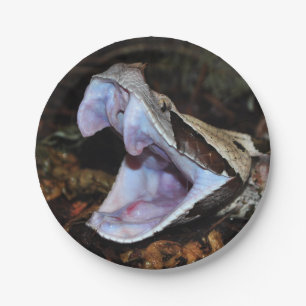 Gabon viper papieren bordje