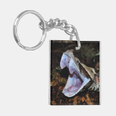 Gabon viper sleutelhanger (Voorkant Links)