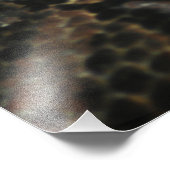 Gaboon Viper Closeup Foto Afdruk (Hoek)