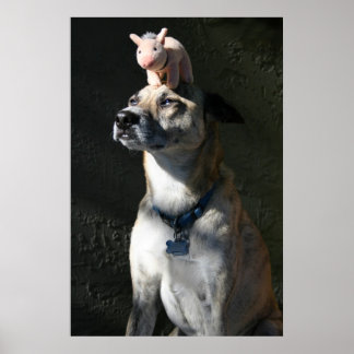Gabriel beval bacon als ontbijt poster