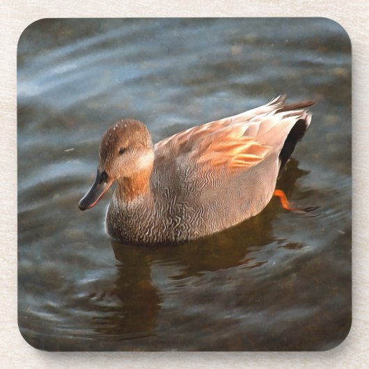 Gadwall Duck Drake op het meer Bier Onderzetter (Voorkant)
