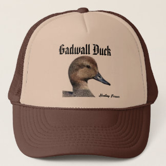 Gadwall Duck pet