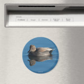 Gadwall magneet (Insitu (Vaatwasser))