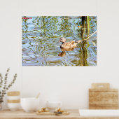 Gadwell Duck Poster (Keuken)