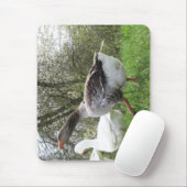 Gäense auf einer Wiese Muismat (Met muis)