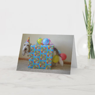 Gaf iemand tot een verjaardagsgift opdracht? kaart