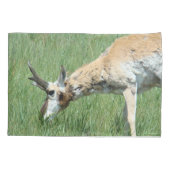 Gaffelbok hertengewei grazend kussensloop (Achterkant)