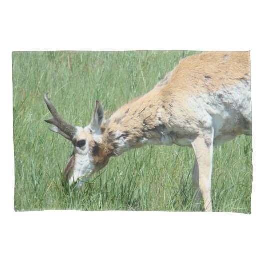 Gaffelbok hertengewei grazend kussensloop (Voorkant)