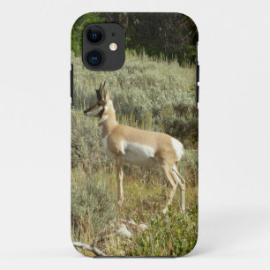Gaffelbok in Grand Teton National Park iPhone 11 Hoesje