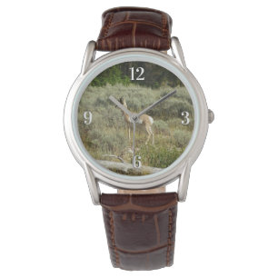 Gaffelbok in Grand Teton National Park Horloge