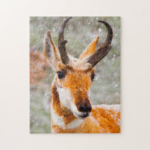 Gaffelhoorn herten Wyoming. Legpuzzel