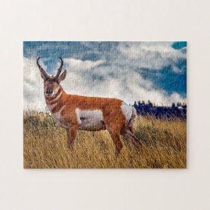 Gaffelhoorn herten Wyoming. Legpuzzel
