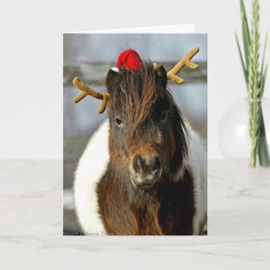 Gagnant d'endroit de photo de carte de Noël de (Devant)