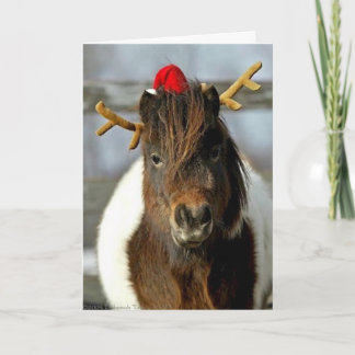 Gagnant d'endroit de photo de carte de Noël de