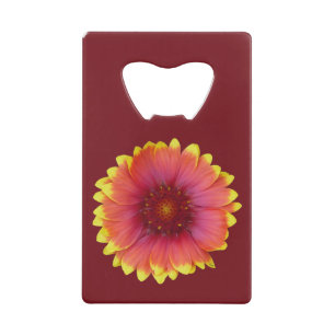Gaillardia 1