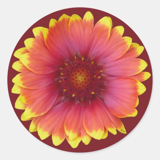 Gaillardia 1 ronde sticker (Voorkant)