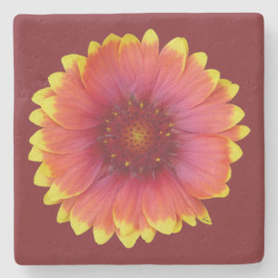 Gaillardia 1 stenen onderzetter