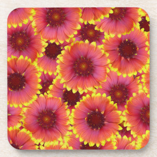 Gaillardia Seamless Patroon Bier Onderzetter