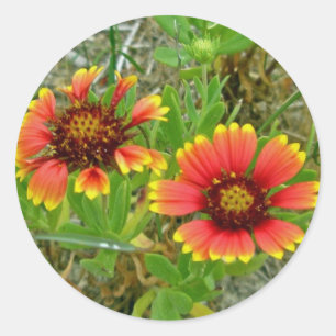 Gaillardia Wilde Canvas tas (Blanket Flower) Ronde Sticker