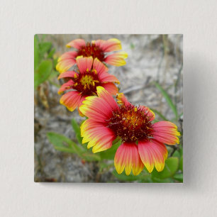 Gaillardia Wilde Canvas tas (Blanket Flower) Vierkante Button 5,1 Cm