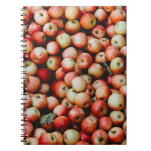 GALA APPLES NOTITIEBOEK