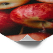 GALA APPLES POSTER (Hoek)