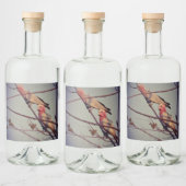 Gala vogels in boom2 likeurfles etiket (Flessen)