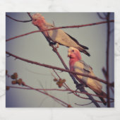 Gala vogels in boom2 likeurfles etiket (Enkel label)