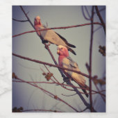 Gala vogels in boom 1 wijn etiket (Enkel label)