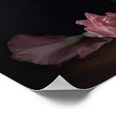 Galadiolus rose Fleurs Art Imprimer Poster (Coin)