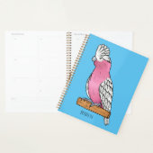 Galah bird cartoon illustration  (Devant avec enveloppe)