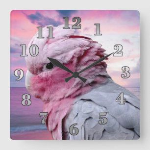 Galah Cockato Vierkante Klok