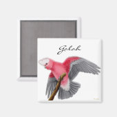 Galah Cockatoo Magnet (Recto/Verso)
